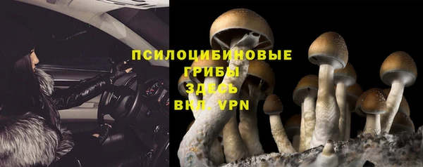 ПСИЛОЦИБИНОВЫЕ ГРИБЫ Алексеевка