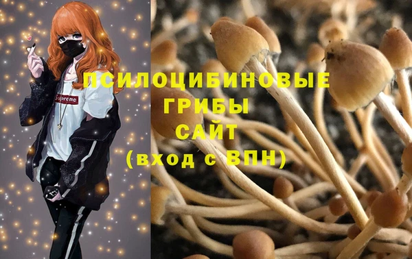 ПСИЛОЦИБИНОВЫЕ ГРИБЫ Алексеевка