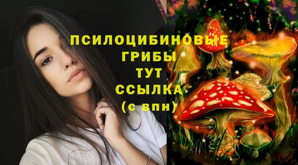 ПСИЛОЦИБИНОВЫЕ ГРИБЫ Алексеевка