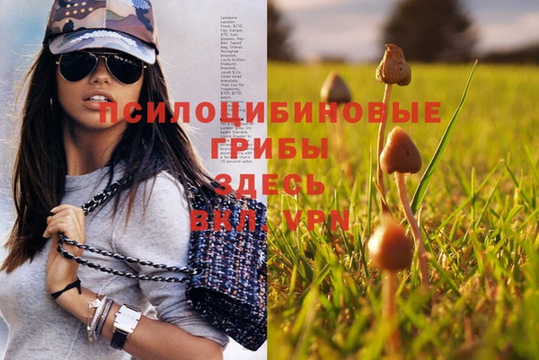 ПСИЛОЦИБИНОВЫЕ ГРИБЫ Алексеевка