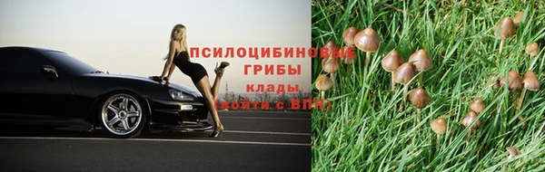a pvp Алексин