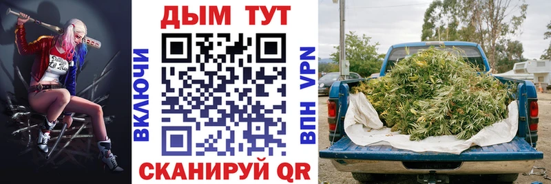 купить   Анива  Каннабис MAZAR 